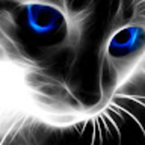 alice_byard